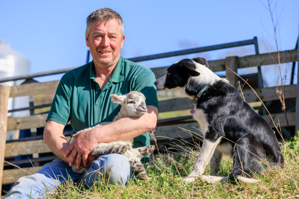 Staff member with a dog and lamb