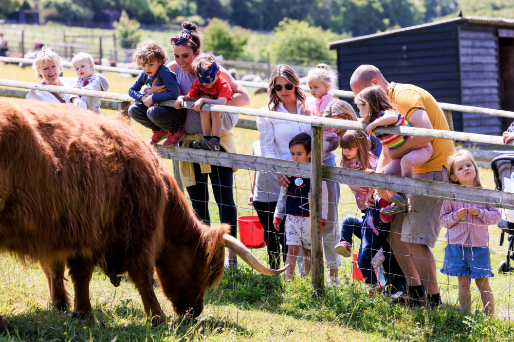 Bocketts Farm Park — kids' party venue in London