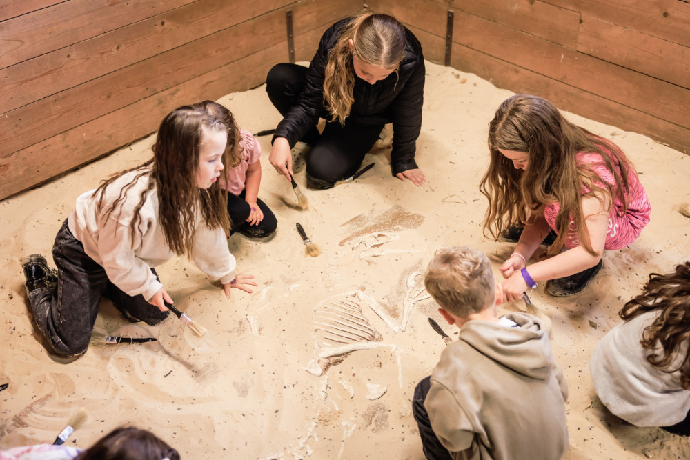 Children digging for fossils