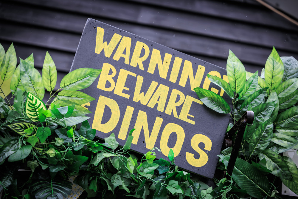 Princess & Dino Event