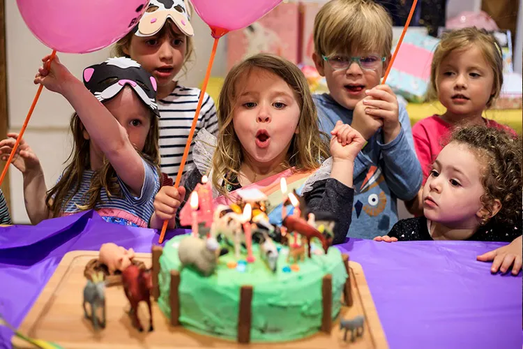 Bocketts Farm Park — kids' party venue in London