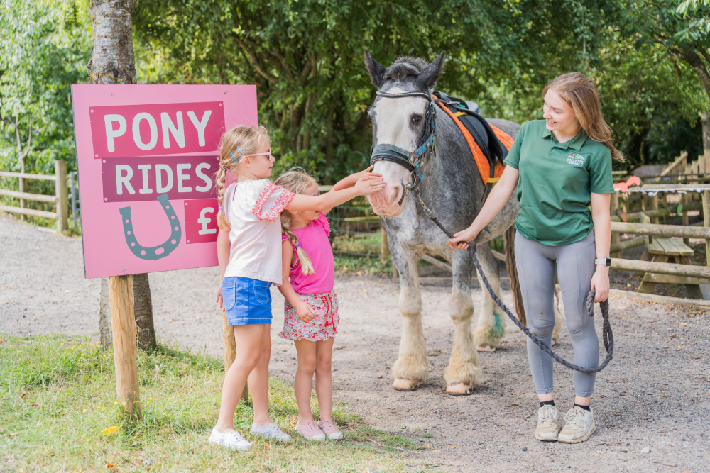 Pony rides