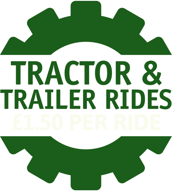 tractor and trailor rides logo